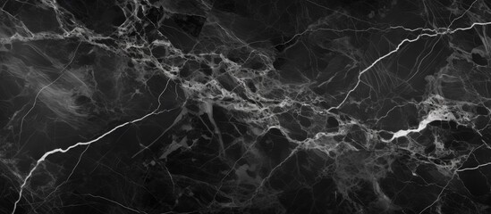 A monochromatic image of a marble texture resembling veins of a terrestrial plant. The pattern resembles the intertwining twigs of a plant in a natural landscape
