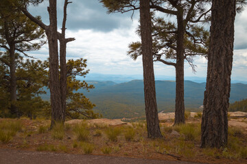  Scenic view of Mogollon Rim, Payson, Arizona on a cloudy day. Ponderosa pine trees in the forest. 