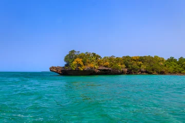 Fototapeten Mangroves in the lagoon of Kwale island. This is a small islet in the south of Zanzibar, Tanzania © olyasolodenko