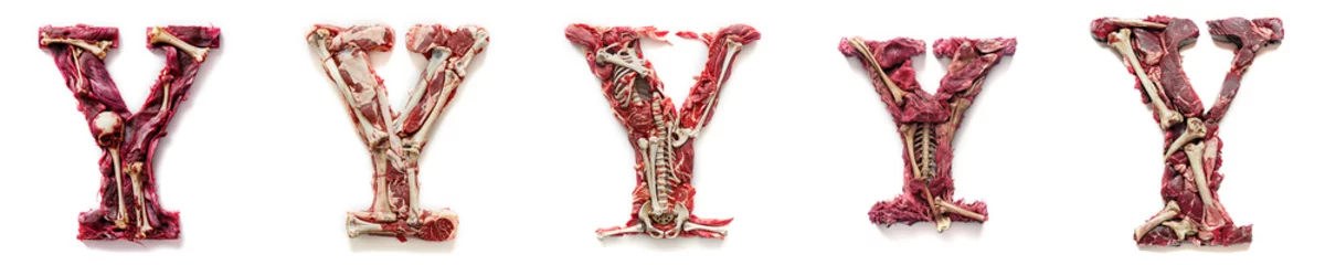 Poster Letter Y Horror alphabet and number concept. Halloween isolated text. Creepy meat with bones, flesh and skin. Anatomy alphabet and numbers set. Isolated white background. Bloody rotten meat © ana