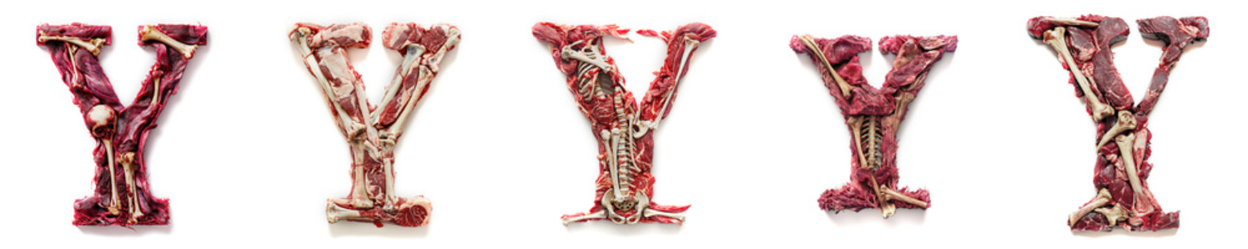 Letter Y Horror alphabet and number concept. Halloween isolated text. Creepy meat with bones, flesh and skin. Anatomy alphabet and numbers set. Isolated white background. Bloody rotten meat