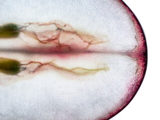 Slice of a blue grape, macro. Isolated on white background. Top view.
