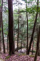 Bridge, Old Man's Cave, Hocking Hills State Park, Ohio