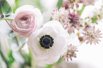 three white flowers sitting next to each other near some leaves