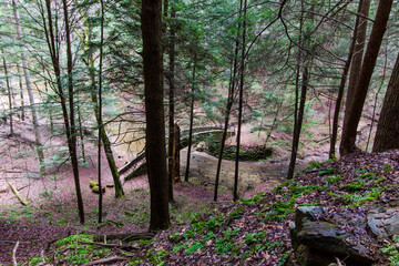 Bridge, Old Man's Cave, Hocking Hills State Park, Ohio