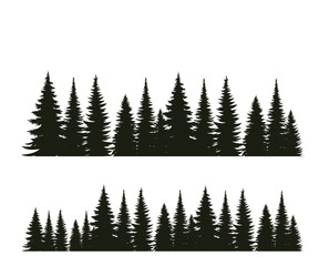 winter forest vector