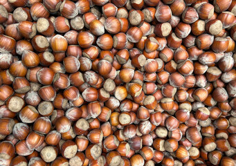 fruit / noisette