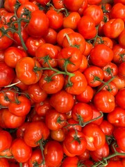 légume / tomate grappe