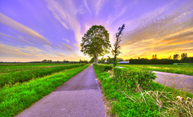 A bicycle path in pastoral Holland at sunset.