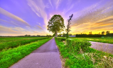 Fototapeten A bicycle path in pastoral Holland at sunset. © Alex de Haas