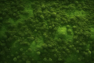 Green Moss Texture, Moss Background, Moss Texture Wallpaper, Top View Green Moss Texture, AI Generative