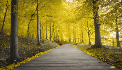 Golden Autumn Forest Pathway