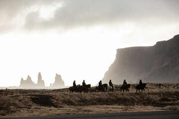 Island zu Pferd