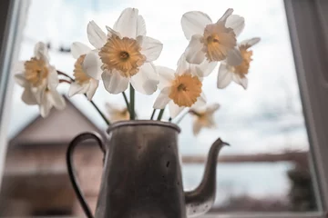 Tuinposter Flowers in tea pot © Galyna Andrushko