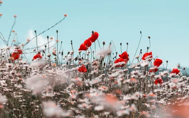 Zelfklevend Fotobehang Wildflowers © Galyna Andrushko