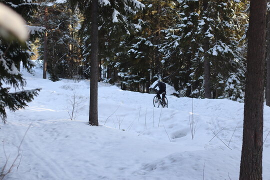 skiing in the woods