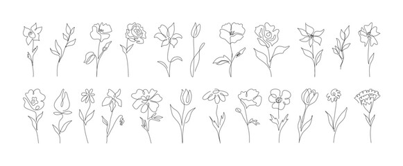 Set of hand drawn one line abstract flower, wedding herb, leave, wildflower for logo or tattoo. Minimal line art drawing for print, cover. Vector illustration	

