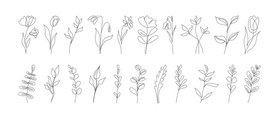 Set of hand drawn one line abstract flower, wedding herb, leave, wildflower for logo or tattoo. Minimal line art drawing for print, cover. Vector illustration	
