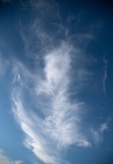 cirrus layered clouds in a blue sky