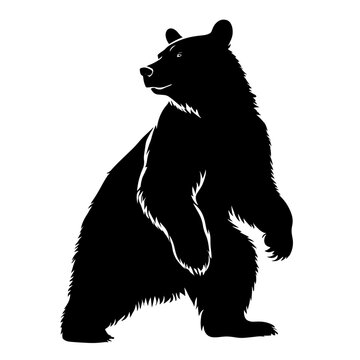Bear wild animal silhouettes on the white background. Grizzly bear,  polar bear, California bear
 silhouette, flat vector icon for animal wildlife apps and websites