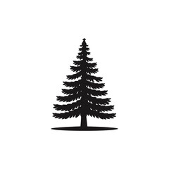 Obraz premium silhouette of pine tree 