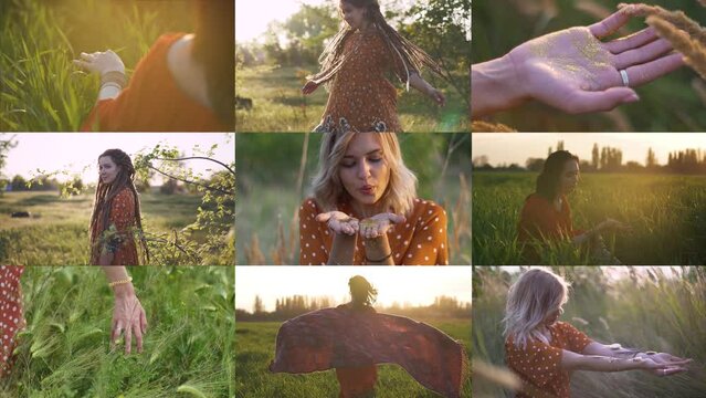 Diverse collection hippie girls walk in the field, enjoying nature and plants. Creative mosaic video of very beautiful Ukrainian girls in flowers and grass. Slow Motion sunrise shot