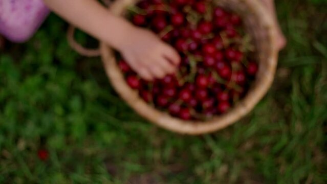 Cherry picking