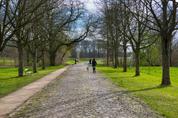 Frau mit Hund auf einer Allee mit Baum im Schlosspark, Park Lützschena, Leipzig, Sachsen, Deutschland