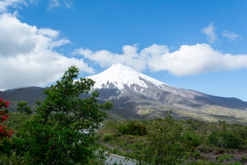 Fototapeta premium Camino al Volcán Osorno, Chile