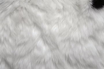 Wandaufkleber Panda Skin Fur Texture, Panda Fur Background, Fluffy Panda Skin Fur Texture, Animal Skin Fur Texture, Fur Background, White Fur Texture, AI Generative © Forhadx5