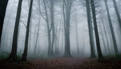 Mysterious Foggy Forest With Tall Trees Eerie A Upscaled 3