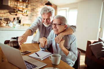 Senior couple using laptop at home