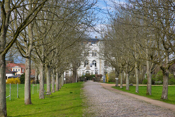 Allee mit Baum, Blick auf das Schloss Lützschena mit Park am Fluss Weiße Elster, Leipzig...