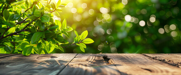 Spring  background with green and flowering branches with an empty wooden table  - obrazy, fototapety, plakaty