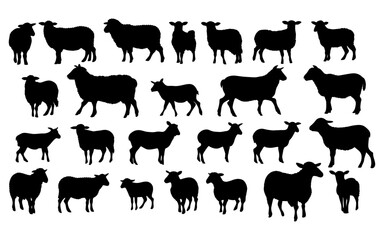 Set of a Sheep  silhouette vector