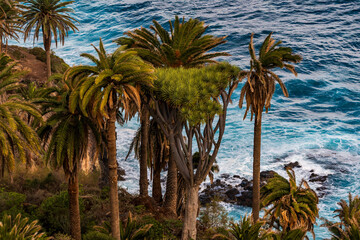 Rambla de Castro en el municipio de los Realejos, Tenerife.