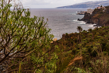 Paisaje en Rambla de Castro los Realejos, Tenerife.