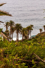 Fototapeta premium Paisaje en Rambla de Castro los Realejos, Tenerife.