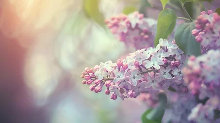 Keuken spatwand met foto lilac flowers in the garden © Faisal Ai