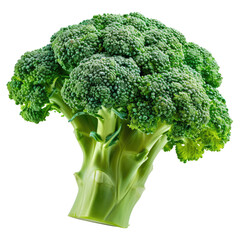 Broccoli isolated on transparent background