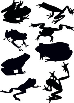 Silhouette of black frogs on a white background.