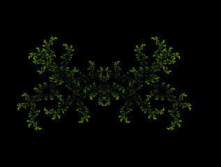 Imaginatory fractal abstract background Image