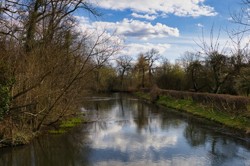 Fototapeta na wymiar Blick von der Weißen Brücke auf den Fluss Weiße Elster im Schlosspark, Park in Lützschena, Leipzig, Sachsen, Deutschland