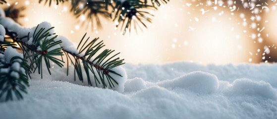 Snow, Pine Branch, Lights, Christmas Empty Space