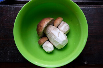 Porcini mushrooms (Boletus edulis) lie in a green bowl, top view. Mushrooms are delicious for making delicious food.