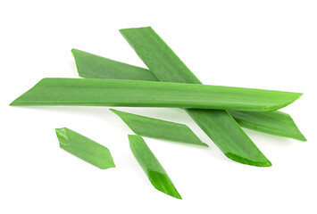 Young green onion leaves isolated on a white background. Green onion herb. Scallion.