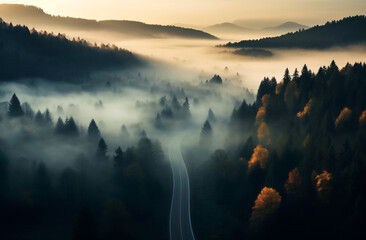 Winding road through foggy forest