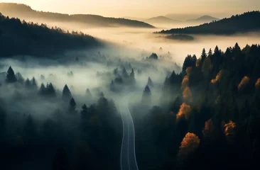 Zelfklevend Fotobehang Winding road through foggy forest © Canvas Alchemy