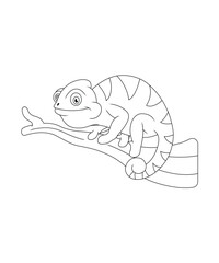 Chameleon Coloring Book Page For KIds