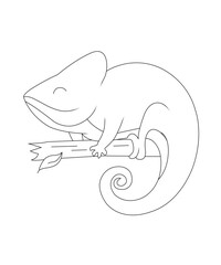 Chameleon Coloring Book Page For KIds